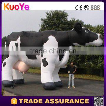 wholesale advertising inflatable dairy cow for display