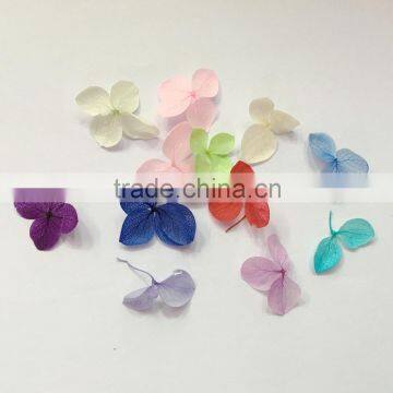 Beautiful Natural Dry Flower for Nail Art Decoration photo-2