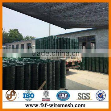 PVC Coated Holland Welded Wire Mesh photo-2