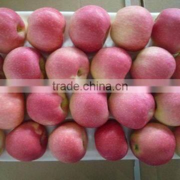 fresh royal gala apple(hot sale)