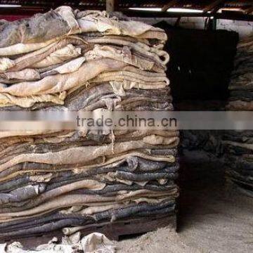 WET SALTED HIDES