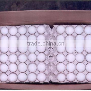 FRESH WHITE AND BROWN CHICKEN EGGS FOR SUPPLY