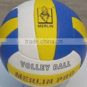 professional training and match Soft Volleyball