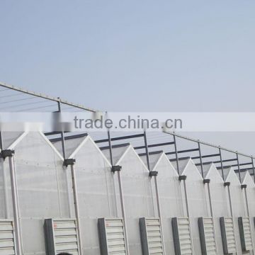 multi span poly carbonate PC agriculture commercial greenhouse