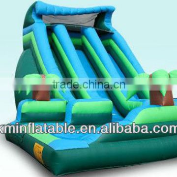 Giant inflatable water slide for adult