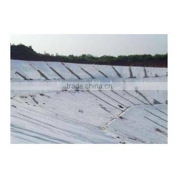 GM-13 US Standard HDPE Waterproofing Geomembrane photo-2