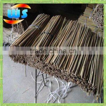 No branches green bamboo cane and bamboo poles