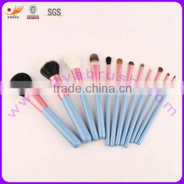 12 Pcs Elegant & Beautiful Color brush set for makeup