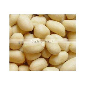 New crop Top quality Blanched Peanut kernel 25/29