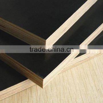 factory-directly sales film faced plywood commercial plywood