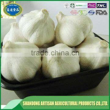 Garlic exporters china