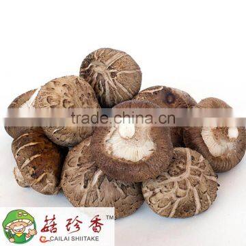 newly promoted XIXIA CITY local delicious dried flower shiitake mushroom