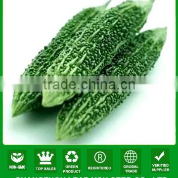 NBG03 Changjian hybrid bitter melon seeds supplier