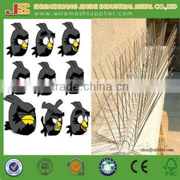 50cm eco-friendly feature and traps pest control type plastic bird spike on alibaba made in china