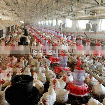 Metering Cylinder Pan Feeder of Broiler Breeder Equiment/rooster Feeding Line photo-3
