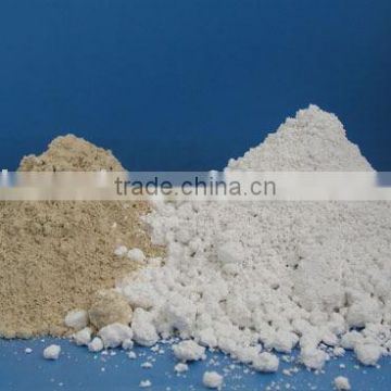 Diatomite Raw Minerals/Diatomaceous Earth/DE