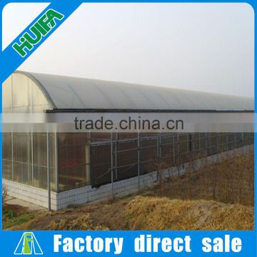 Commercial Multi-Span Agricultural Greenhouse for Sale