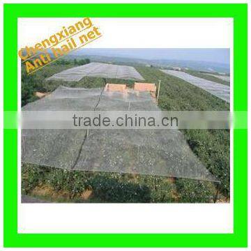 For Agriculture Plantation Anti hail Net