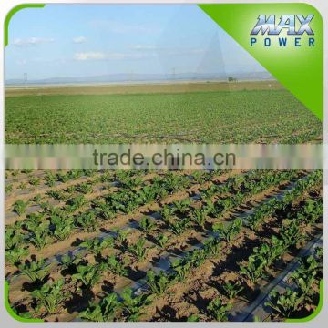 Best Selling Agriculture Greenhouse Drip Irrigation Hose Low Cost