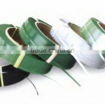 Popular Useful Pet Strapping Production Factory