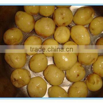 Wholesale Kitchen Swift Chopper Manual Food Processor photo-3