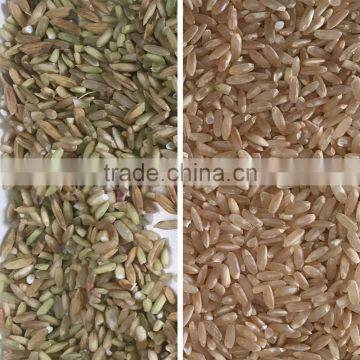 Intelligent CCD Grain Color Sorter Sesame Color Sorter Price photo-2