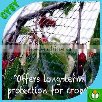 Wholesale HDPE Plastic Bird Net / Bird Trapping Net /plastic Tree Protection Mesh
