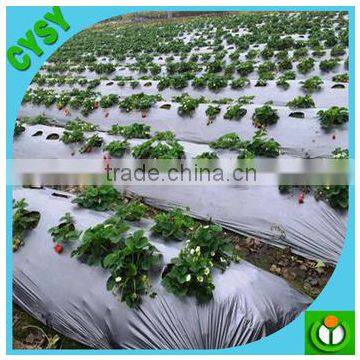 Henna Factory Supply Black Plastic LDPE Mulch Film Mulching Film for Agriculture