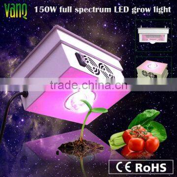 Plant Light 150w High Power For Plant Growth Grow Shop led Hydroponic Cucumber Tomato