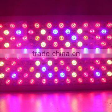 Lightess Led Lights Grow Light 1000w Double Chips Growing Lighting Full Specturm for Greenhouse and Indoor Plant Flowering photo-3