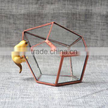 Pyramid Shaped Glass Terrarium for Indoor Plant Holder photo-4