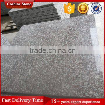 Brainbrook Brown Granite Polished G664 Granite photo-4
