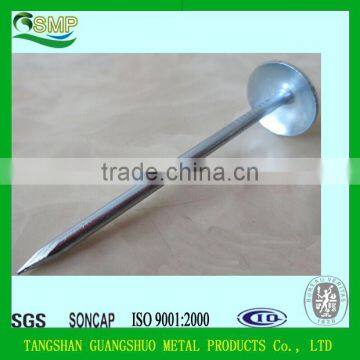 High Quality Roofing Nail with Umbrella Head