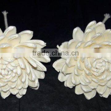 7019-7024 Sola Flower for diffuser