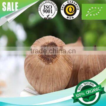 2016 hot sale natural snack food fermented china black garlic single bulb