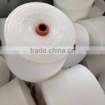 Welljoy Produce 100% Polyester Raw White Thread With High Strength and Low Shrinkage photo-3