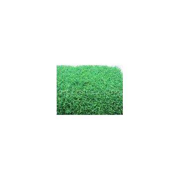 OEM 9000Dtex Green Tennis Artificial Grass Turfs w/ Yarn 20mm