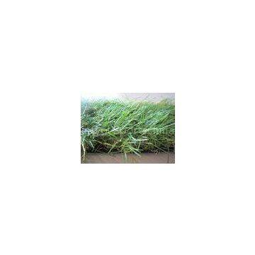 Wear Resistant Garden Decorative Artificial Grass 40mm , 3/8inch Gauge