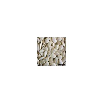 Offer Roasted Snow White Pumpkin Seeds