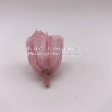 Preserved Rose for Wedding Festival Decoration photo-3