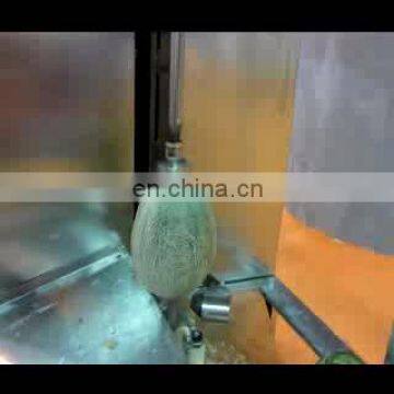 Factory Direct Sale Ce-approved Industrial Fruit Peeling Machine