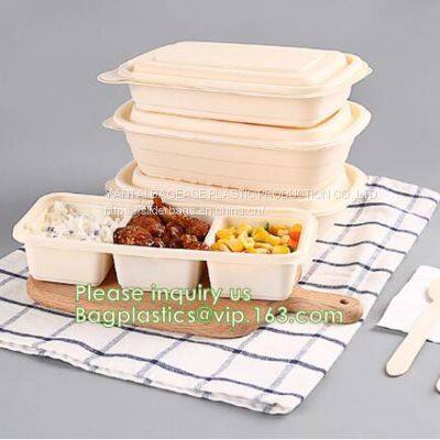 Biodegradable Disposable Trays, PLA Corn Starch Biodegradable Meat Tray, Cornstarch Disposable Biodegradable Plate photo-2