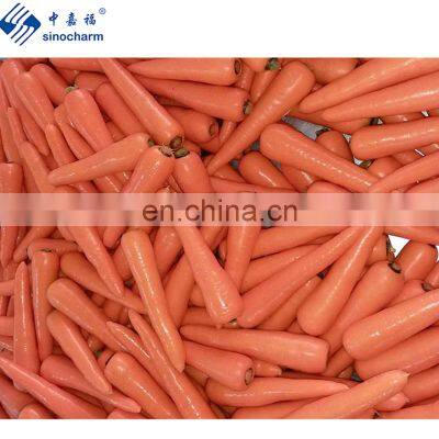 Sinocharm 2022 New Crop Fresh Carrot