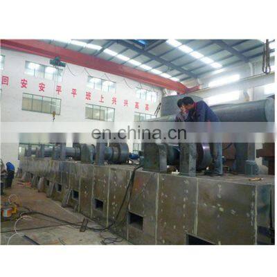 Best Price PLC Control DW-1.2-8 Single-layer Mesh-Beit Dryer for Yam