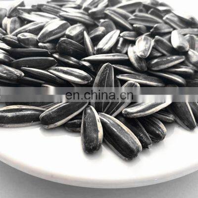 Cheap Sunflowerseed Good Price photo-4