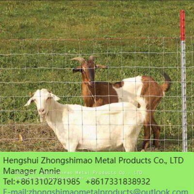 Woven Wire Field Fence/Galvanized Steel Mesh/ stock fencing wire