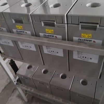 German Silver Fir Battery 2VEG1000 China General Agent photo-2