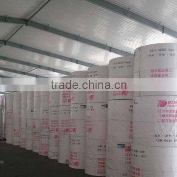 Non Woven Polyester Mat for SBS APP Bitumen Waterproof Membrane photo-2