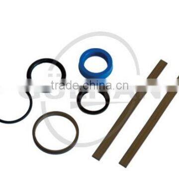 SEAL SET (REPAIR KIT) OF CHECK VALVE FOR SCHWING