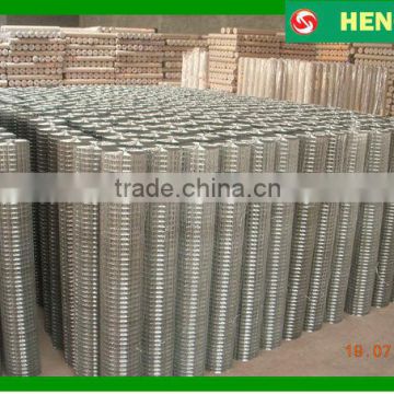 In Stock High quality galvanized welded wire mesh